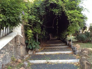 Secret Garden path in Rome